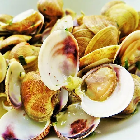 Hamilton Ξενοδοχείο Misano Adriatico