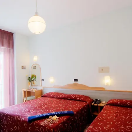 Hamilton Hotel 3*