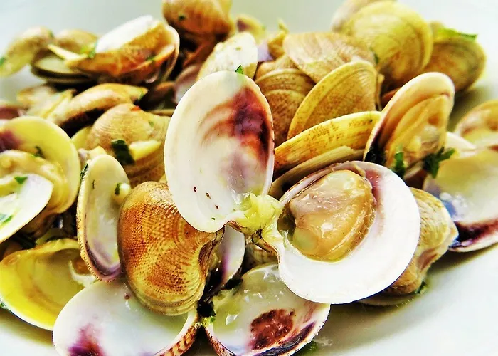 Hamilton Hotell Misano Adriatico